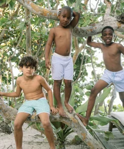 minnow Boys Board Short Bay Lavender Hot