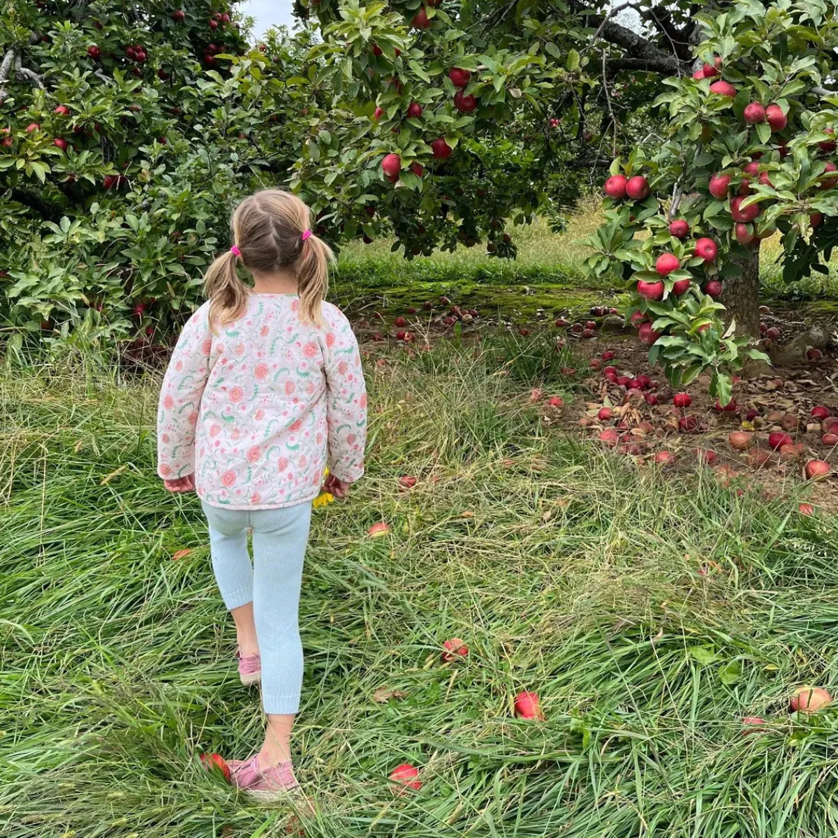 minnow X Sister Parish Unisex Quilted Jacket Cloister Botanical Online