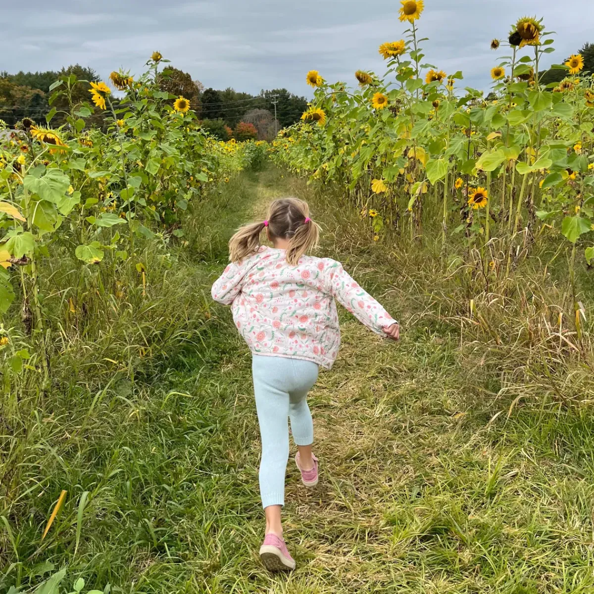 minnow X Sister Parish Unisex Quilted Jacket Cloister Botanical Online